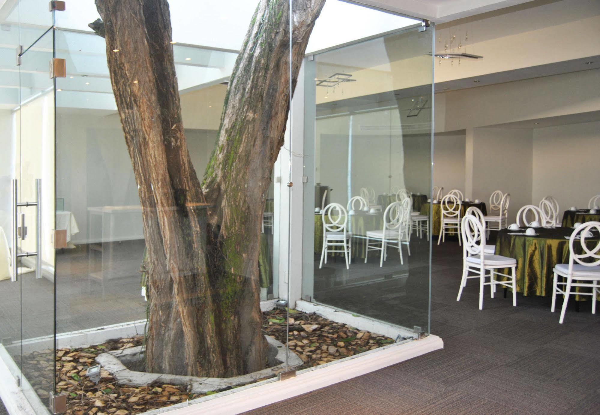 Hotel Los Andes San Pedro Sula Ngoại thất bức ảnh